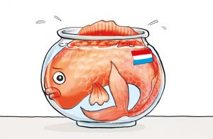 Too big for The Netherlands